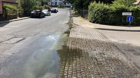 ALEXANDER STEVANOVIC/BBC A road with houses on either side and cars are parked to the left. Water can be seen trickling from the top of the road, forming a puddle.