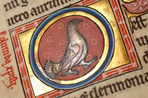 University of Aberdeen Dove in The Aberdeen Bestiary