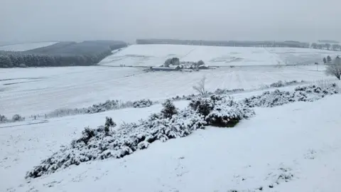 Doric/BBC Weather Watchers Snow covers a sweeping landscape of fields and forestry in Aberdeenshire.