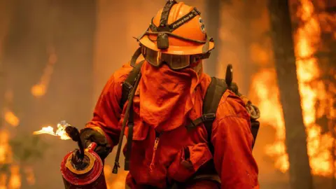 Getty Images An incarcerated firefighter in Mill Creek, California in August 2024