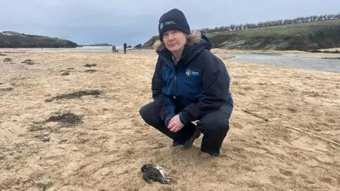 Bex Allen is crouching on a beach and there is a dead puffin at her feet. She is wearing a CWT branded beanie had and anorak and waterproof trousers. 