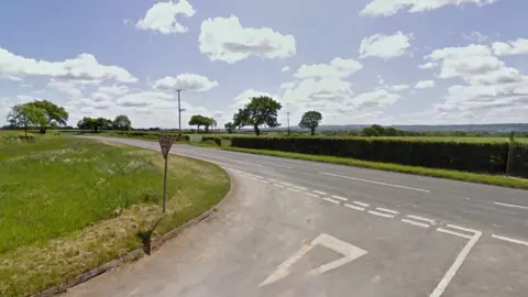 A road surrounded by a green hedge, grassy fields and trees, pictures in a sunny day with white clouds.