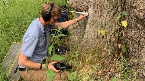 Helen Mitchem Alex tree