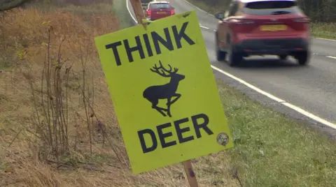 BBC Yellow sign saying "Think Deer"