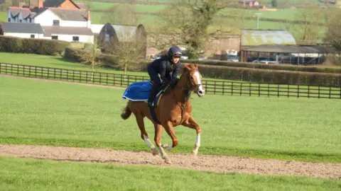 A woman riding a horse in the countryside. 