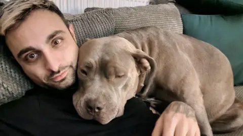 Steve Constantinou A man with brown and blonde hair sits on a sofa, with a large grey XL bully draped over his shoulder.