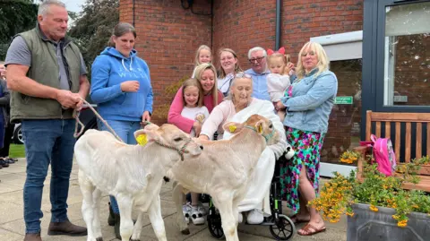 Ashgate Hospice Twin calves visit Ashgate Hospice in Chesterfield, Derbyshire