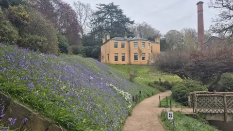 Bluebells on a green slope on the left, next to a path leading to the honey-coloured two-storey mansion at the top of the slope in the background. On the right is a small crisscross wooden footpath bridge. In the background on the right is the tall brick chimney next to the mill.with trees in front and around.
