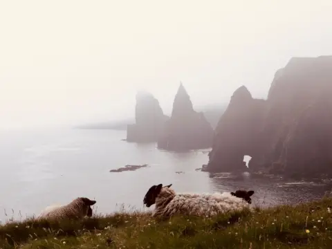 Scot Bowie Two sheep on a high hill, with water and other sea stacks in the distance