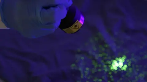 A blue surgical glove shining an ultraviolet light onto clothing which shows specs of colour