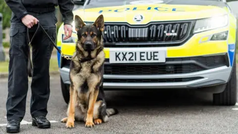 Northamptonshire Police Large black and brown dog