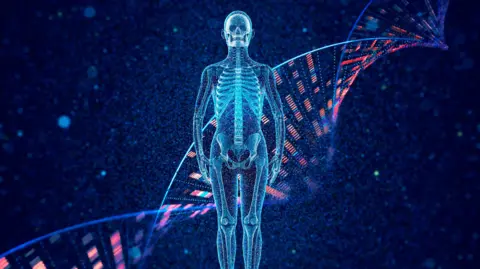 Getty Images A graphical outline of the human body showing bones in blue with a swirl of genetic code in the background, highlighting the idea that our bodies are built from the genetic information inside.