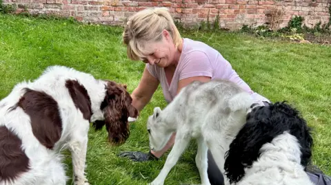 Kate Bradbrook/BBC Helen Chown, who had blonde hair tied in a loose pony tail and is wearing a lilac T-shirt and black rubber gloves, lays on the grass with the reindeer sniffing her hand and standing near her. Two spaniels are next to the deer and looking at Angie.