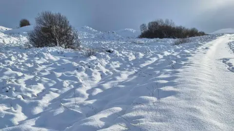 Butterlope Farm The genelly valley in County Tyrone covered in a thinck layer of now. Only a few tree tops are visible above the snowfall