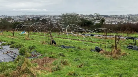 The frame of a tunnel on a farm which has been mangled in winds brought by Storm Goretti.