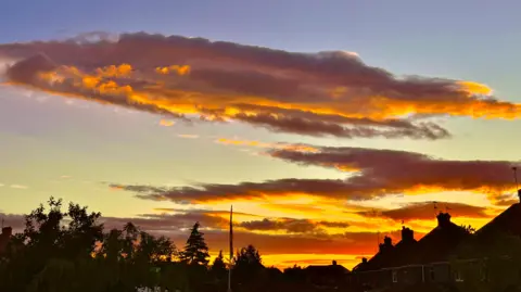FeralDays An orange sunset over a residential area.