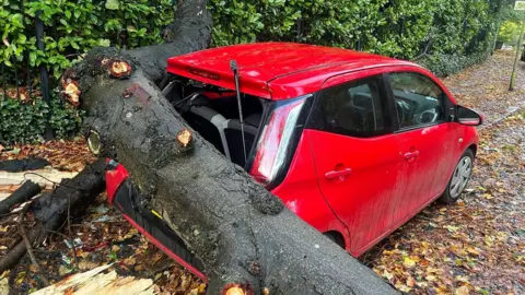 BBC A fallen tree rests on the back of a damaged red car on a leaf-strewn street in Belfast.   The rear window is broken. 