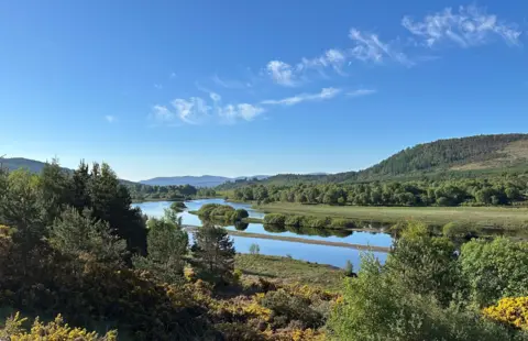 David Watson The Kyle of Sutherland at Invershin - all green grass, blue lochs and clear skies