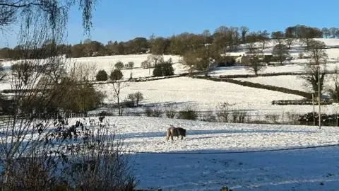 Picture of a grazing horse in the rolling hills of Chirk, Wrexham. 