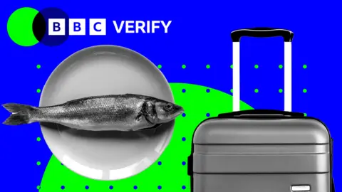 A picture showing a fish on a plate on the left hand side and a suitcase on the right, on a blue and green background, with "BBC Verify" logo in the top left hand side corner.