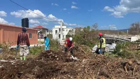 supplied Men in hard-hats standing on a pile of branches using saws and wood-cutting kit. There are buildings in the background and a blue sky above.