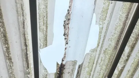 Part of the roof of the back garden is broken