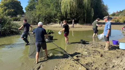 People in a pond using nets and jugs.
