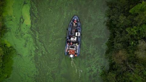 Drone image of a boat sailing through algae in Lough Neagh