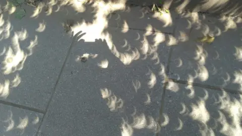 Getty Images A grey pavement dappled with crescent shaped shadows caused by a solar eclipse filtered through tree leaves above.