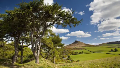 Several trees stand in the foreground on the left-hand side. In the distance, across green fields, is Roseberry Topping - a large hill with a pointed summit.