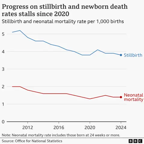 Line graph showing that progress on stillbirth and newborn death rates have stalled since 2020