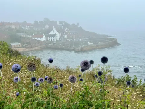 Philip Oswald Landscape of a rainy cloudy day hanging over a bay and small village with white houses with purple flowers in the foreground
