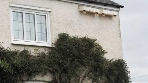 Leicestershire County Council Swift boxes