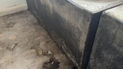 on the left of the image we can see a bare concrete floor with stains on it - presumably from mould.
To the right we can see a the base of a bed, with grey and white mouldy patches covering most of the black material 