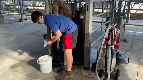 Charlie crouches over a bucket in a farm building with a cow behind him.
