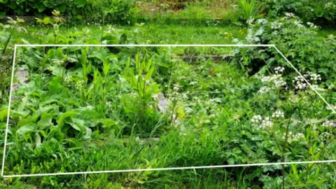 Julian Carosi Overgrown grave of Captain Clutterbuck the edges marked out by a white square to show where it is