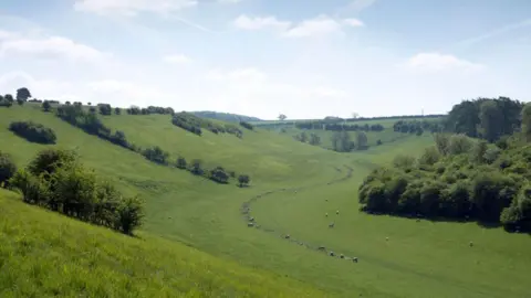 Getty Images A picturesque grassy valley on a sunny day, complete with trees and sheep at the bottom of the valley near a footpath.