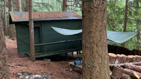 Sage & Co Auctions Green woodland cabin surrounded by trees