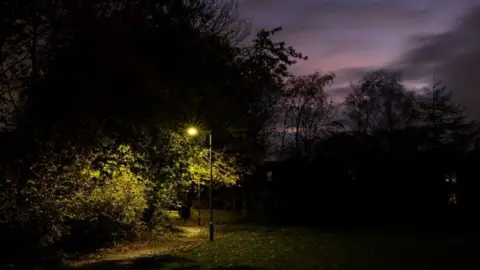 Signify A light over a dark path.