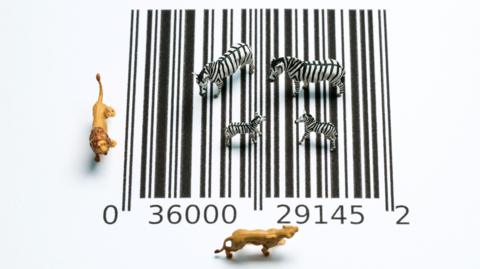 Figures of Zebra and lions on a barcode 