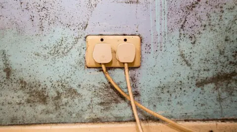 A picture of a damp wall which is a light green and with black mould scattered all over it. In the centre there is a plug socket which is yellow. 