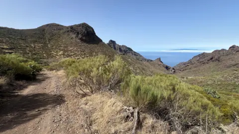 View of the Masca ravine near to where British teenager Jay Slater's body was found