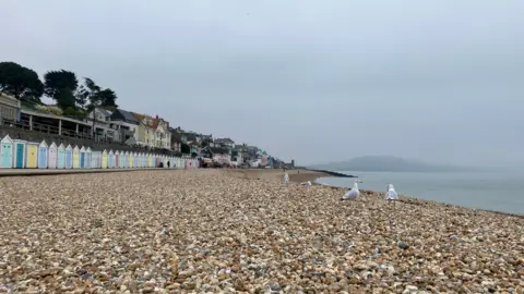 The sea and a shingle beach sit in front of multi-coloured beach huts under thick grey clouds. Four seagulls can be seen on the beach. 