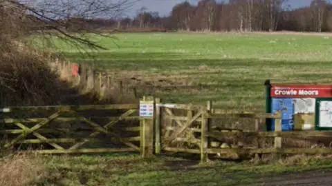 Google An area of grassland flanked by tall trees with a gate and a sign in the foreground. The sign says welcome to Crowle Moors.