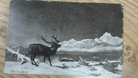 Swansea Building Society A postcard bearing an image of a reindeer in snow arrived at a shop more than a century after it was posted