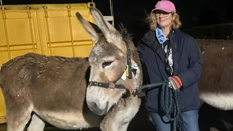 Jo Welsby A woman in a pink cap, navy blue jacket and jeans holds a donkey by a bridle. The woman has curly blonde hair and is wearing glasses. It is dark. The belly of a second donkey can just be seen to the right.