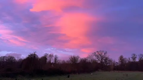 WeatherWatchers/Georgia B A pink and purple sky seen on a winter's afternoon with the distant treeline illuminated by the colours in the sky.