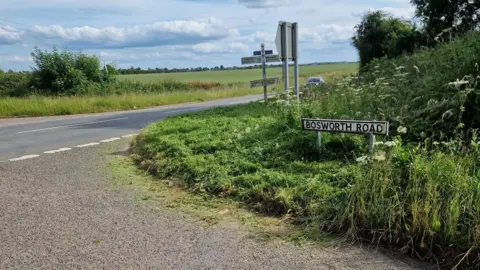 Grass verge near Measham