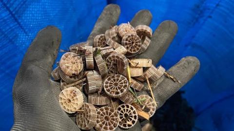 Plastic biomedia filters found at Newburgh