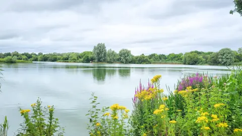 Pumpkins Mum A large green lake fills the shot with yellow and purple flowers on the right. The far bank in the background is lined with trees. The surface of the lake is still.